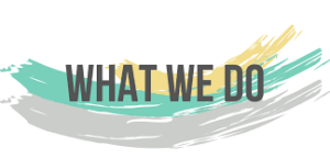 What We Do